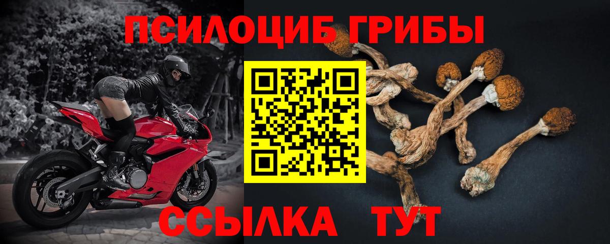 Ярославль  Галлюциногенные грибы Psilocybine cubensis  Псилоцибиновые грибы прущие грибы  Вход с VPN 