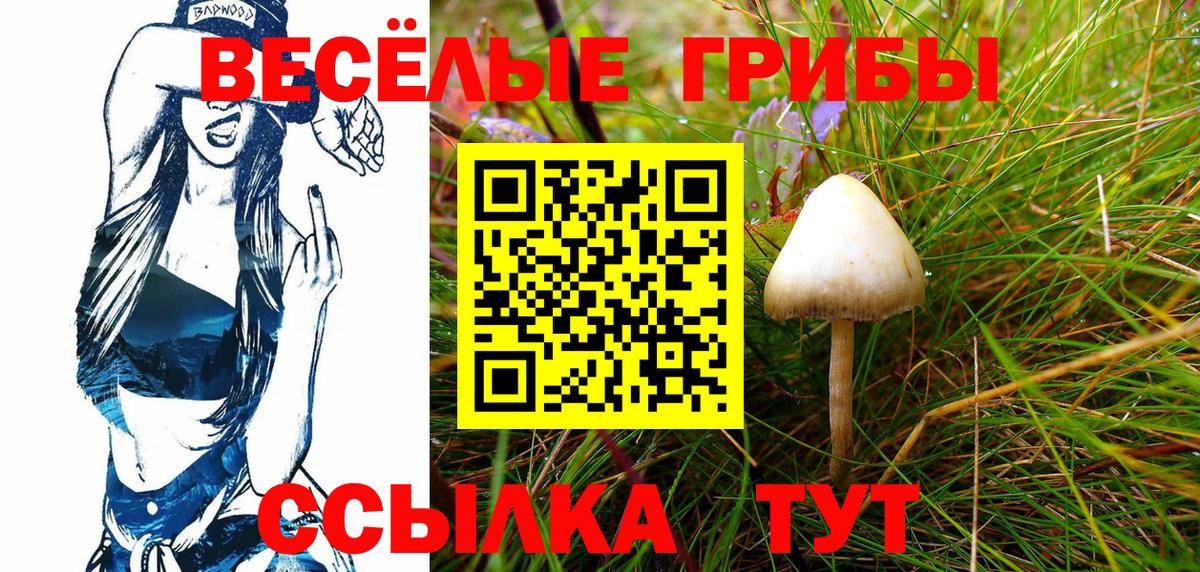 Псилоцибиновые грибы мухоморы Ярославль